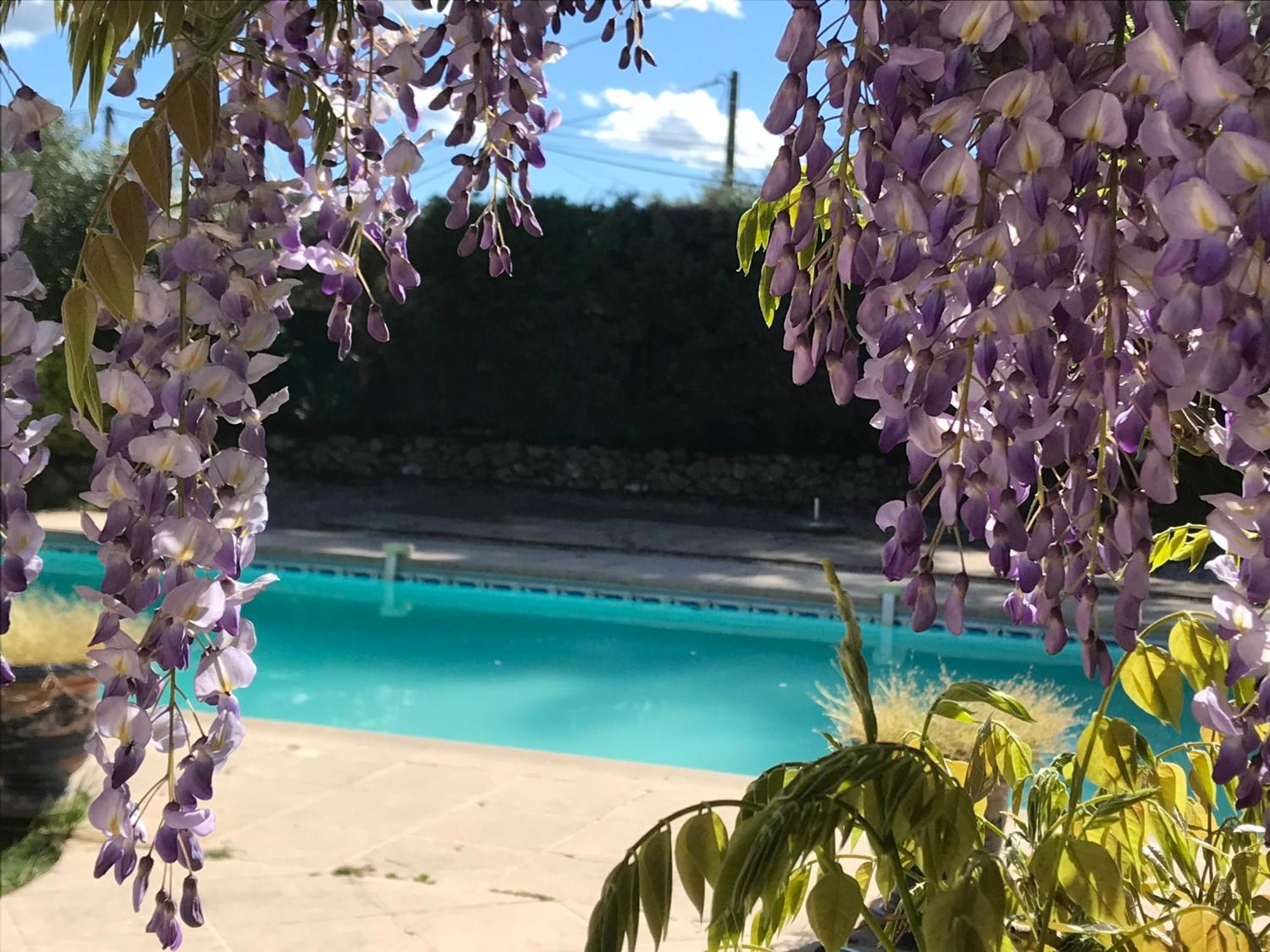 Le Patio Fleuri Hotel Lorgues Exterior photo