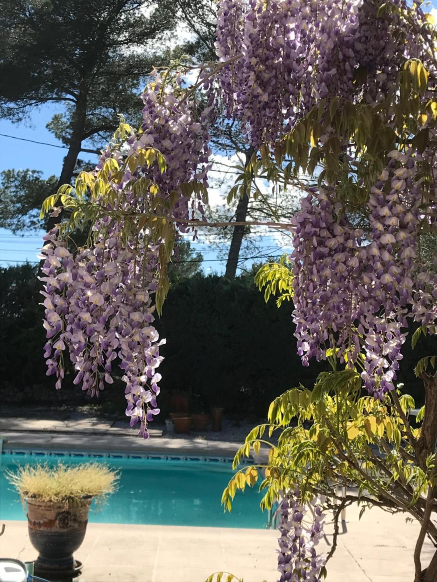 Le Patio Fleuri Hotel Lorgues Exterior photo